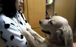 日本最强rapper潮水app